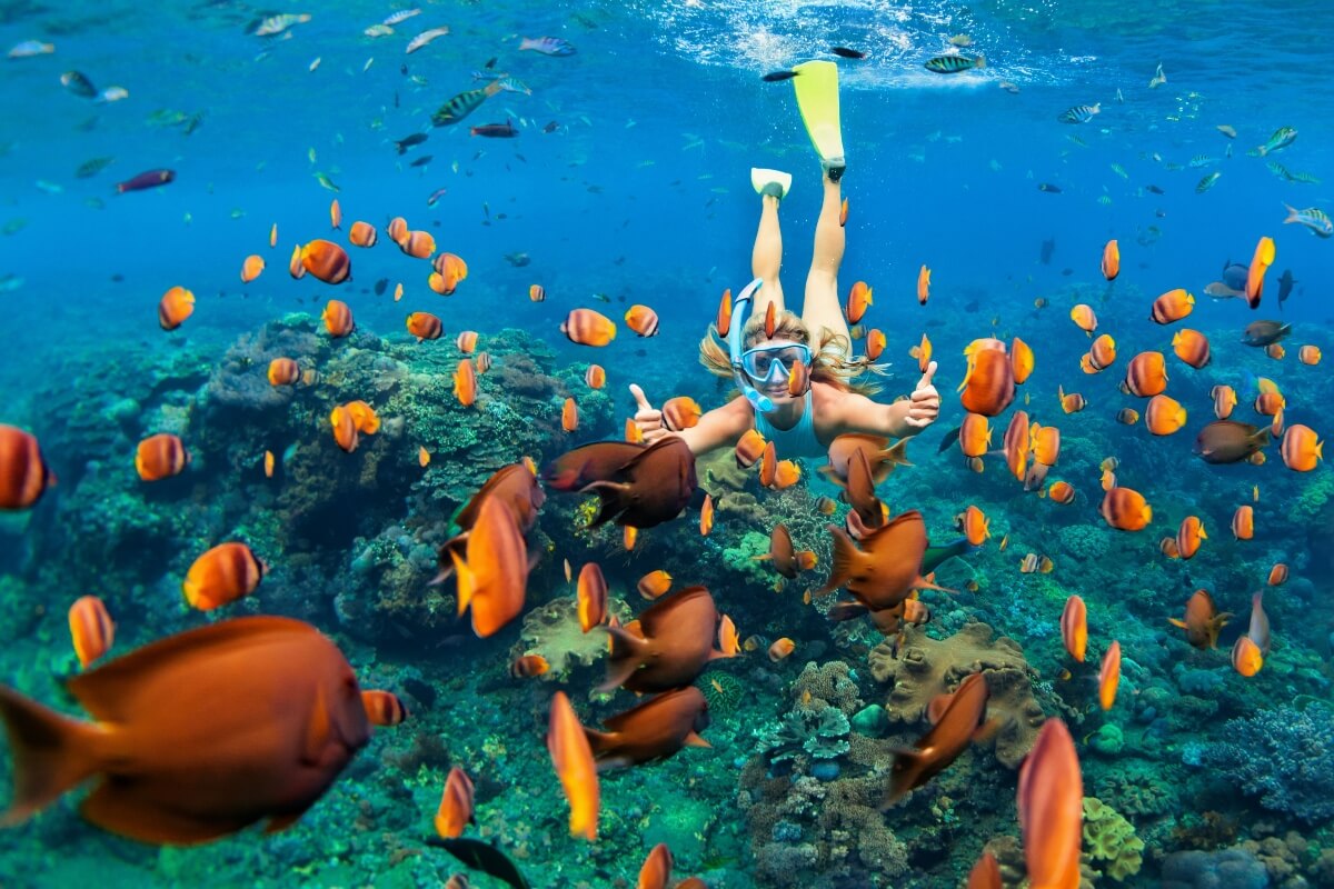 Bali Timur – Snorkeling & Safari 2
