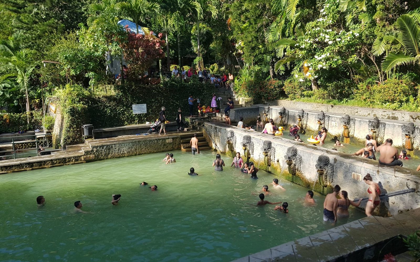 Air Terjun & Lovina 2